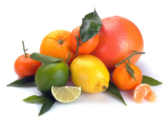 set of citrus  fruits