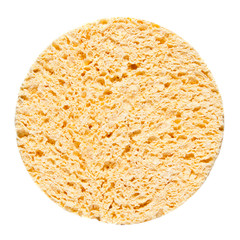 sponge