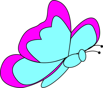 farfallina