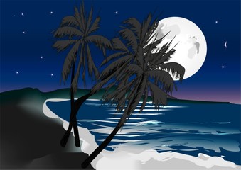 księżyc i palmy