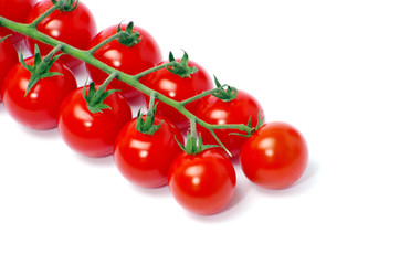 tomatoes