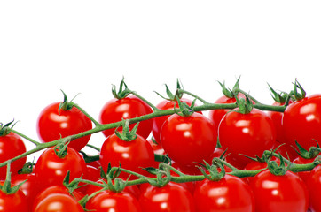 tomatoes