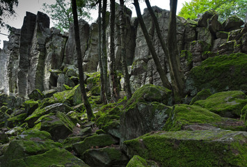 Steinwand, Rhön, Hessen, Deutschland