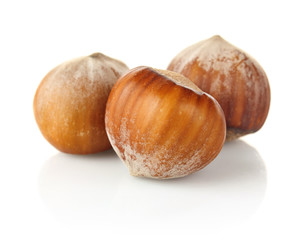three hazelnut isolated on white background