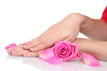 Rose and hands isolated on white