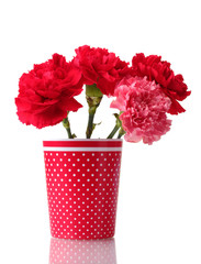 Bouquet of carnations in a glass isolated on white