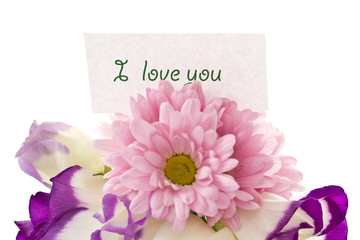 bouquet of beautiful flowers