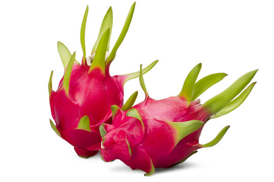 Two tropical  fruit dragon