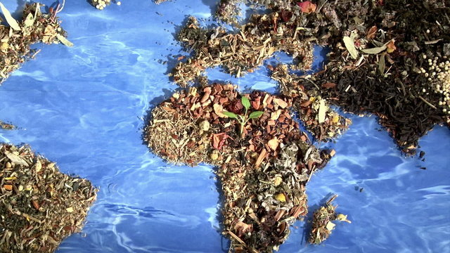 World of Tea - Leaves, zoom out