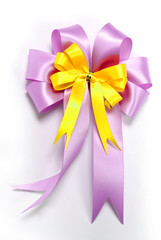 Nice ribbon bow for gift box