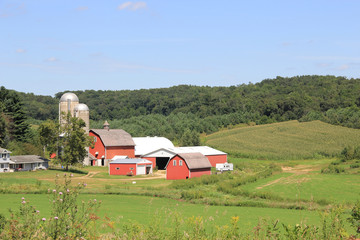 Rural Farm