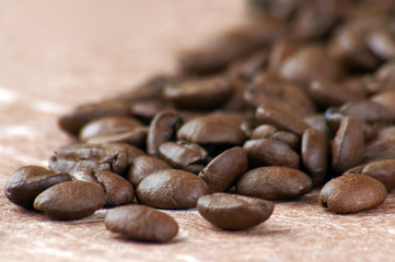 Coffee beans close-up