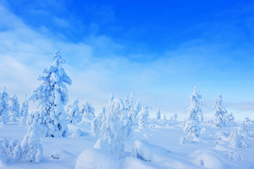 Winter in the finland