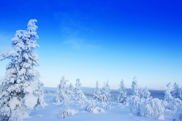 Winter in the finland