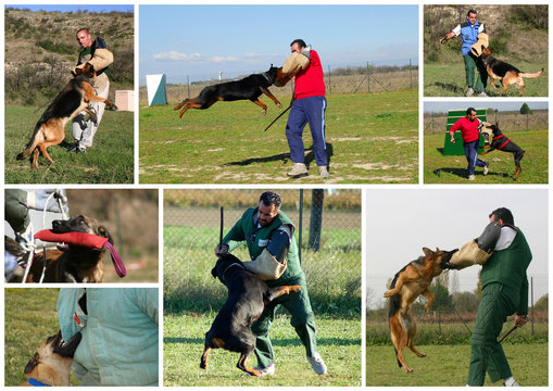 exercices d'attaque