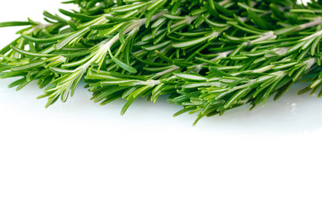 fresh green rosemary isolated on white