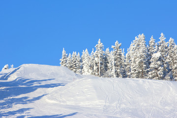Obraz premium Winter in the finland