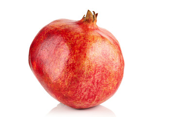 Pomegranate.