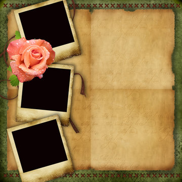 Vintage paper background with elegant three frames and rose