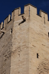 avignon