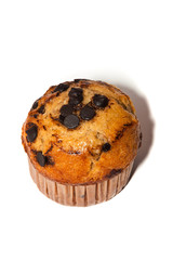 cupcake on white backgrounds