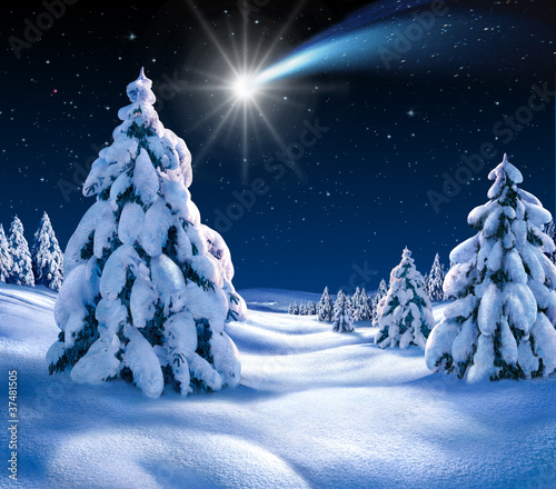 "Weihnachtslandschaft 2" Stockfotos und lizenzfreie Bilder auf Fotolia