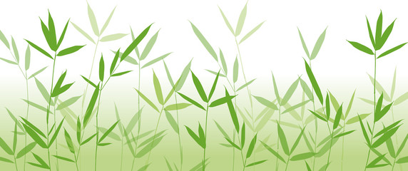 Bambus Hintergrund