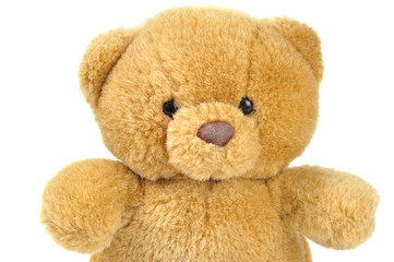 Teddy bear