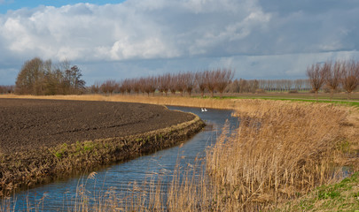 Autumn in the Netherlands