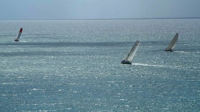 Monocoques de 40 pieds au près.