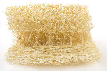 loofah