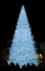 Albero Illuminato - Piazza Portanova - Salerno