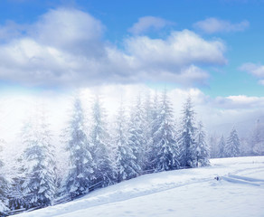 Beautiful winter landscape with snow covered trees