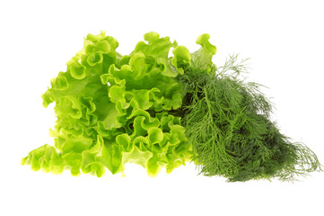 Obraz premium Salad leaf and dill isolated on white background