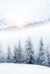 Beautiful winter landscape with snow covered trees