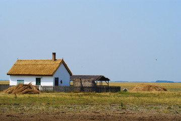 Fototapeta premium Little house in the summer