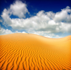 Sand Dunes Landscape