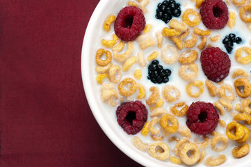 Cereals blackberries raspberries and milk in a bowl 06