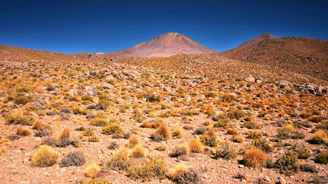 Nice Bolivian landscape with blue sky