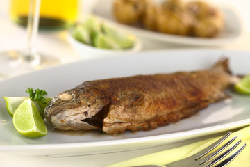 Fried trout with limes, white wine and potatoes