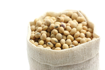 Soybean in sack isolated in white background