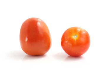 Tomato isolated in white background