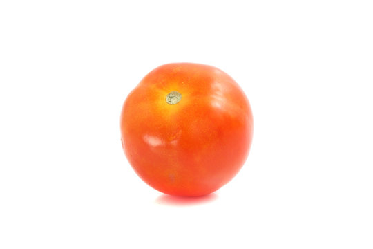 Tomato isolated in white background