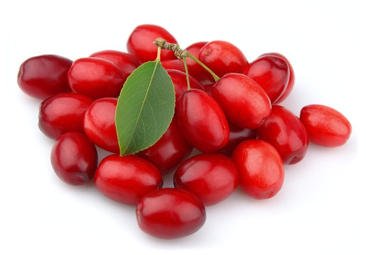 sweet dogberry close up on the white