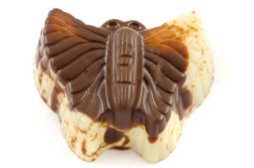 Chocolate in butterfly shape