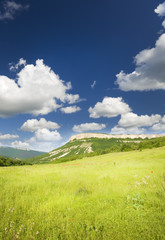 Obraz premium Green meadow in mountain.