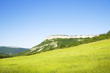 Fototapeta na wymiar Green meadow in mountain.