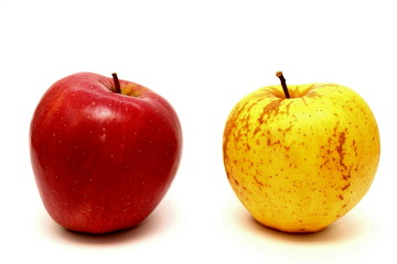 Red and yellow apples on a white background