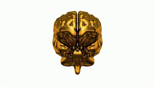 3D Gold Brain 360&deg; Video auf wei&szlig;