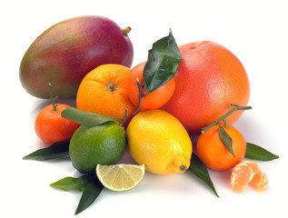 set of citrus  fruits